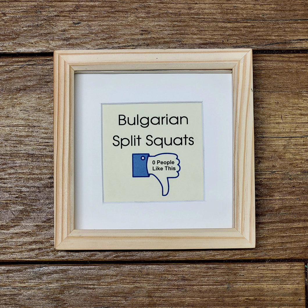 Gym lovers framed gift - zero people like split squats